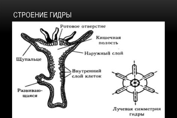 Рабочая ссылка омг для тор