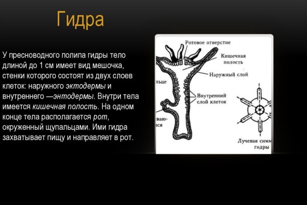 Ссылка омг анион